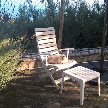 Sea Countryside Relax Homestay